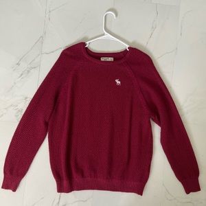 Abercrombie and Fitch Kids Sweater
